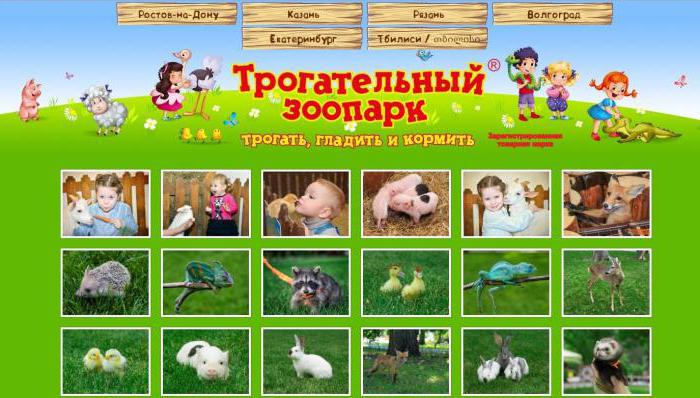 Зоологически градини в Ростов: адрес, снимка, режим на работа